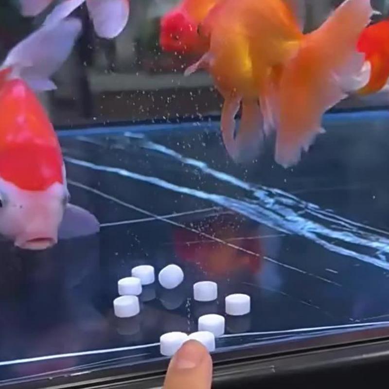 수족관 정수 정제 강력한 조류 제거 정제 유해 물질 탁 - Water Purification Tablet 리뷰 및 가격