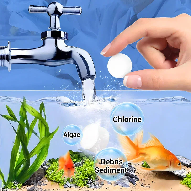 친환경 수족관 물 정화 정제, 빠른 효과 어항 청소액, - Water Purification Tablet 리뷰 및 가격