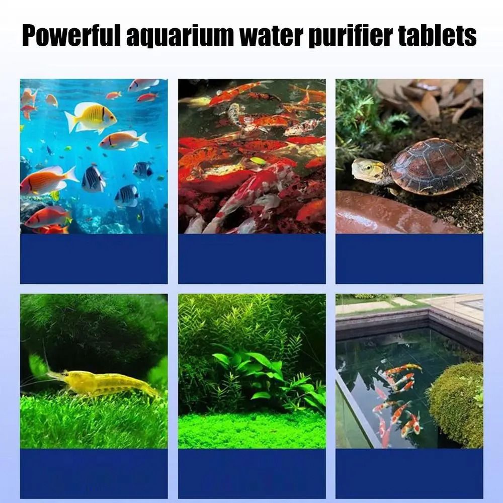 강력한 정수 정제 냄새 제거제 청소용 조류 제거 정제  - Water Purification Tablet 리뷰 및 가격